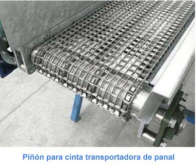 Piñón para cinta transportadora de panal